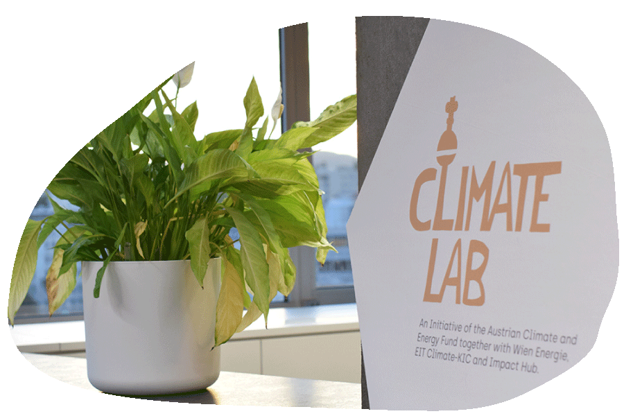 Climate Lab logo on a white honeycomb board next to a green houseplant in the evening sun.