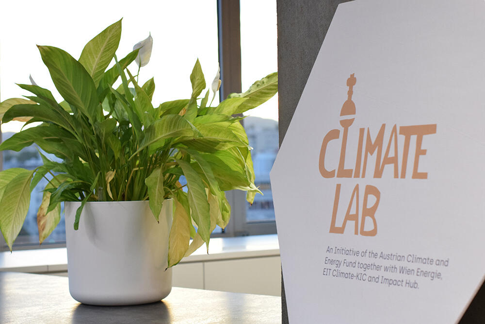 Green houseplant backlit by sunshine next to a hexagonal sign with the Climate Lab logo